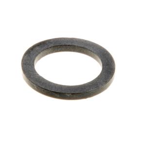 INTERGAS GASKET (GAS) 21.5/15.5